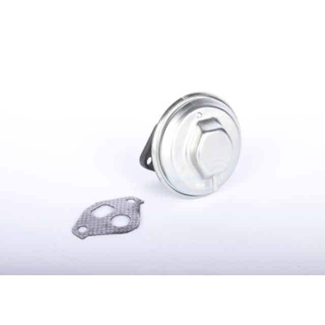 GM Genuine Parts Exhaust Gas Recirculation (EGR) Valve with Gasket