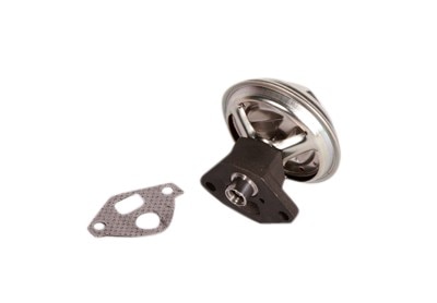 GM Genuine Parts Exhaust Gas Recirculation (EGR) Valve Kit with Gasket