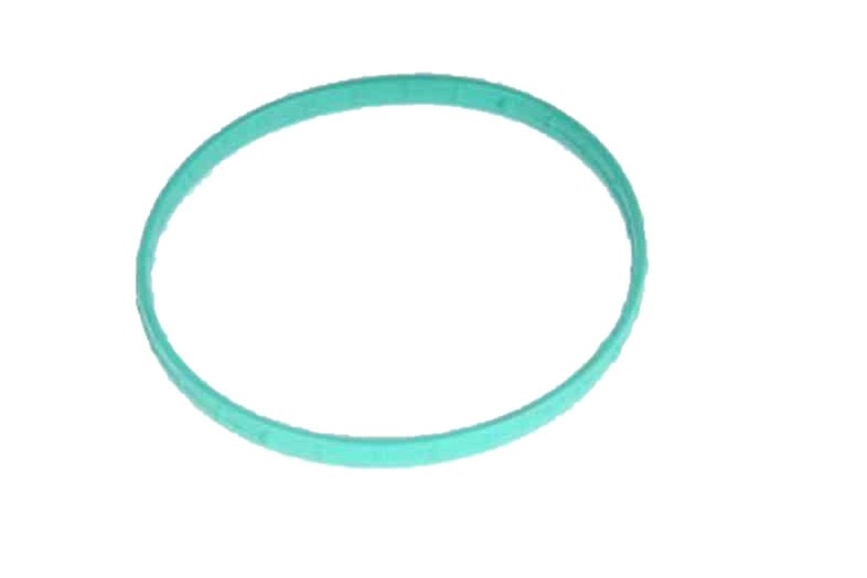 GM Genuine Parts Fuel Injection Throttle Body Seal