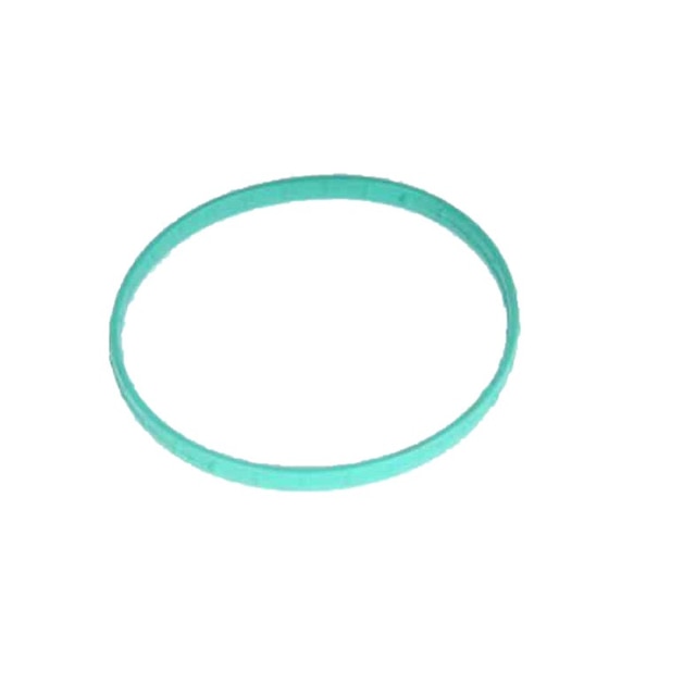 GM Genuine Parts Fuel Injection Throttle Body Seal