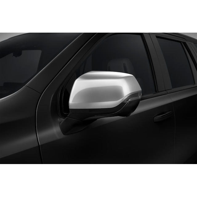 Outside Rearview Mirror Covers in Galvano