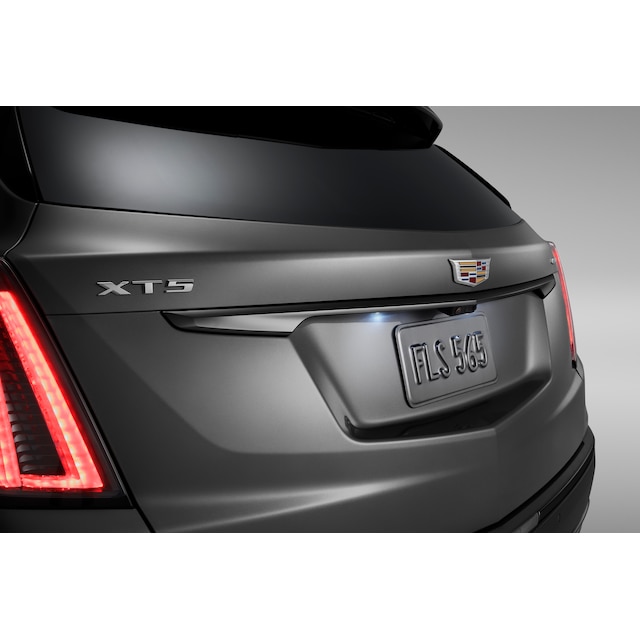 Rear Liftgate Applique in Black (for models with 180-Degree Rearview Camera)