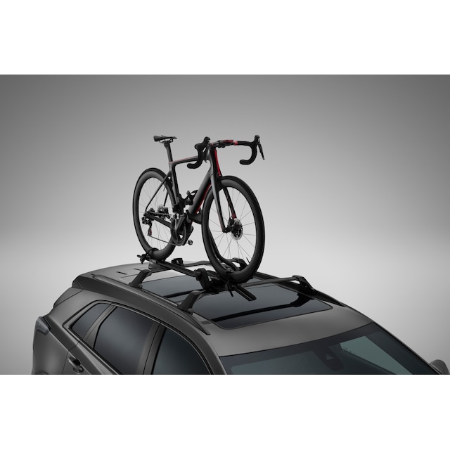 Cadillac Roof-Mounted ProRide XT™ Upright Bicycle Carrier in Black