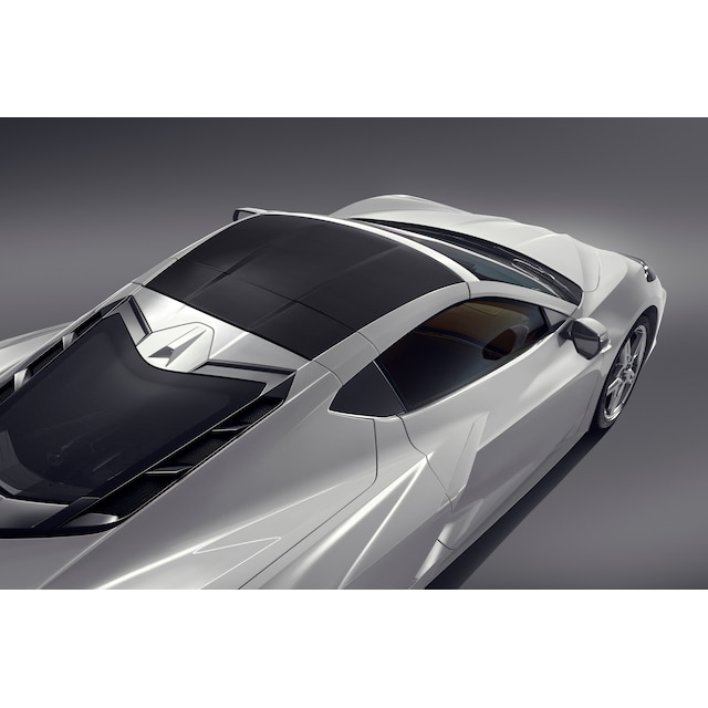 Visible Carbon Fiber Roof Bow with Arctic White Trim
