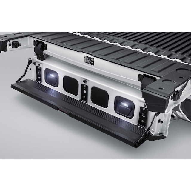 Tailgate Step Lighting for MultiPro™/Multi-Flex Tailgate
