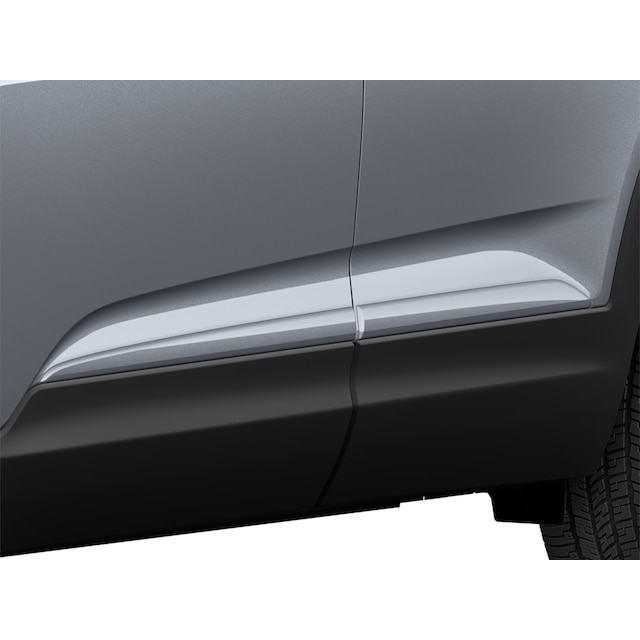 Middle Door Moldings in Satin Steel Gray Metallic