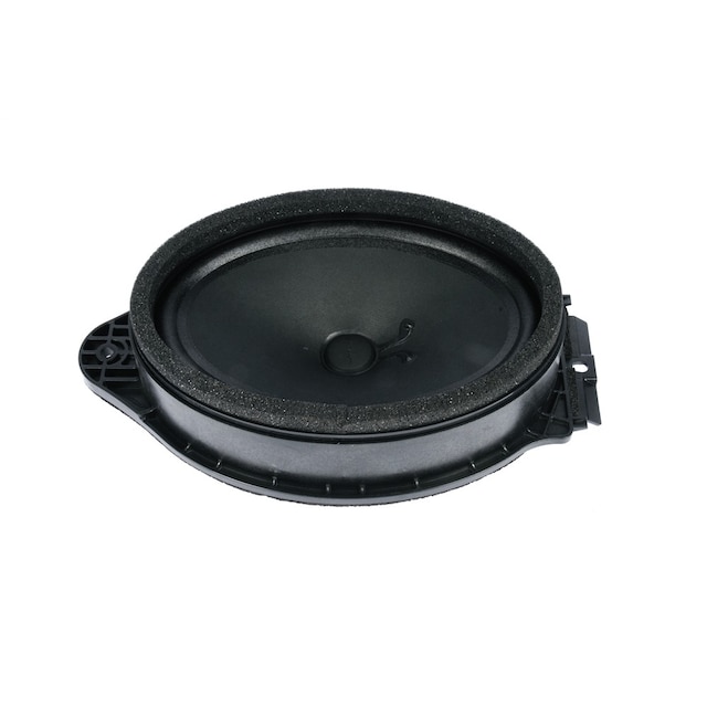 GM Genuine Parts Front Door Radio Speaker