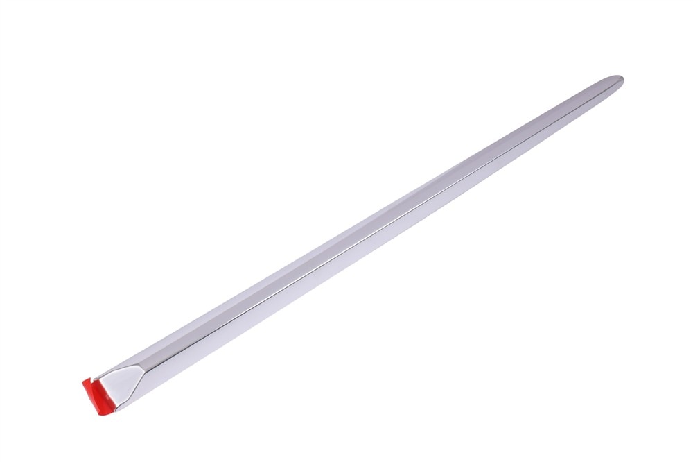 GM Genuine Parts Galvano Silver Passenger Side Rear Side Door Molding