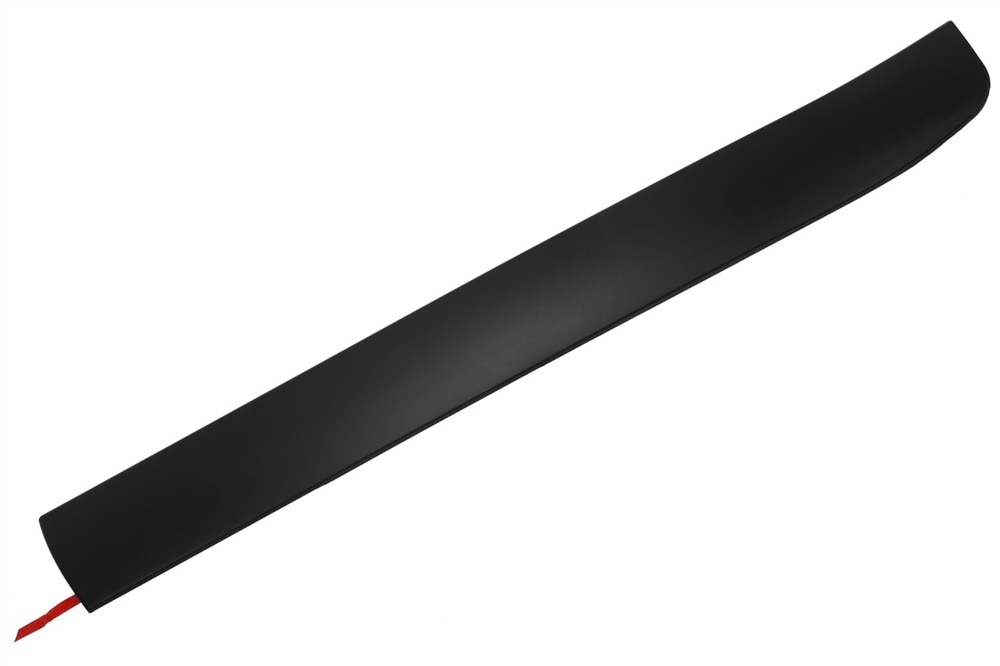 GM Genuine Parts Black Rear Driver Side Door Lower Molding