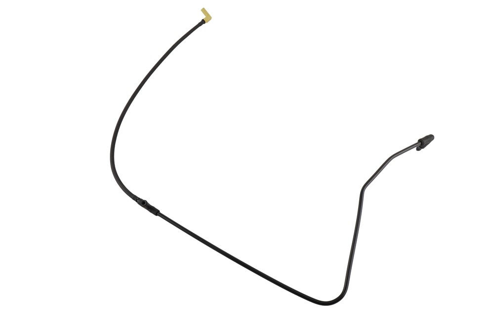 Alternate Image