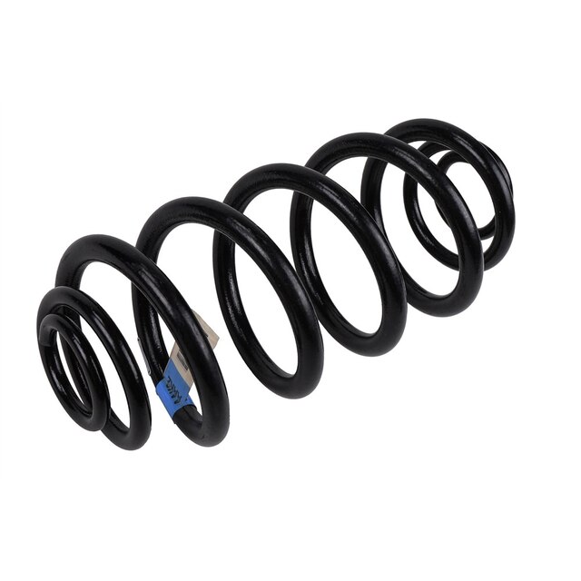 GM Genuine Parts Rear Coil Spring