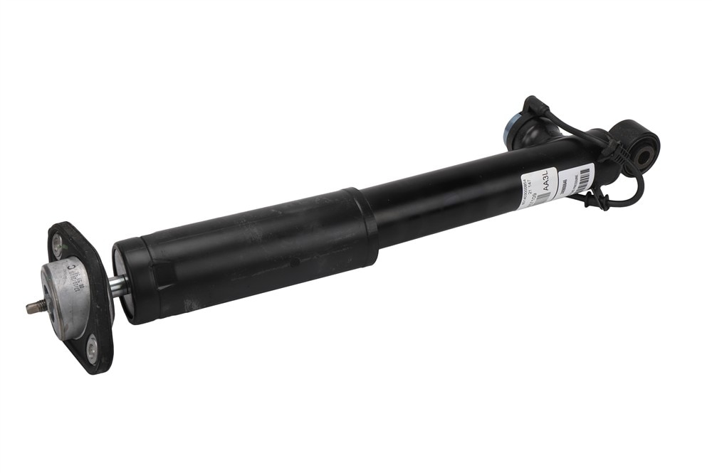 GM Genuine Parts Rear Passenger Side Shock Absorber Kit