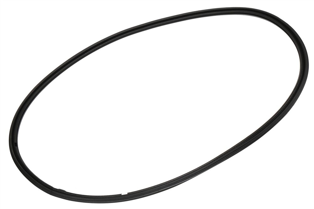 GM Genuine Parts Side Door Window Weatherstrip