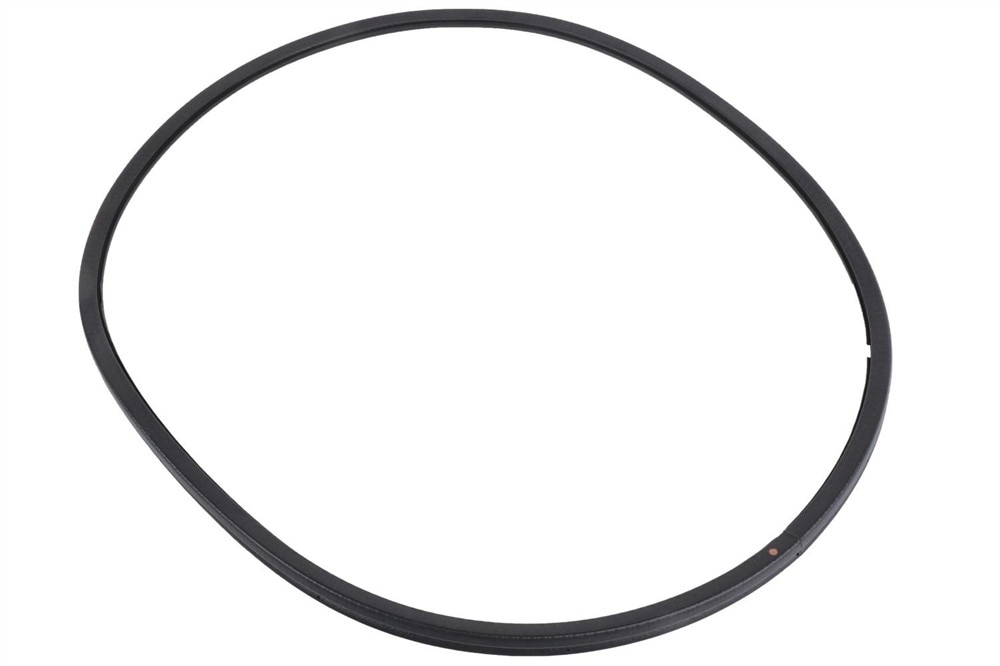 GM Genuine Parts Side Door Window Weatherstrip