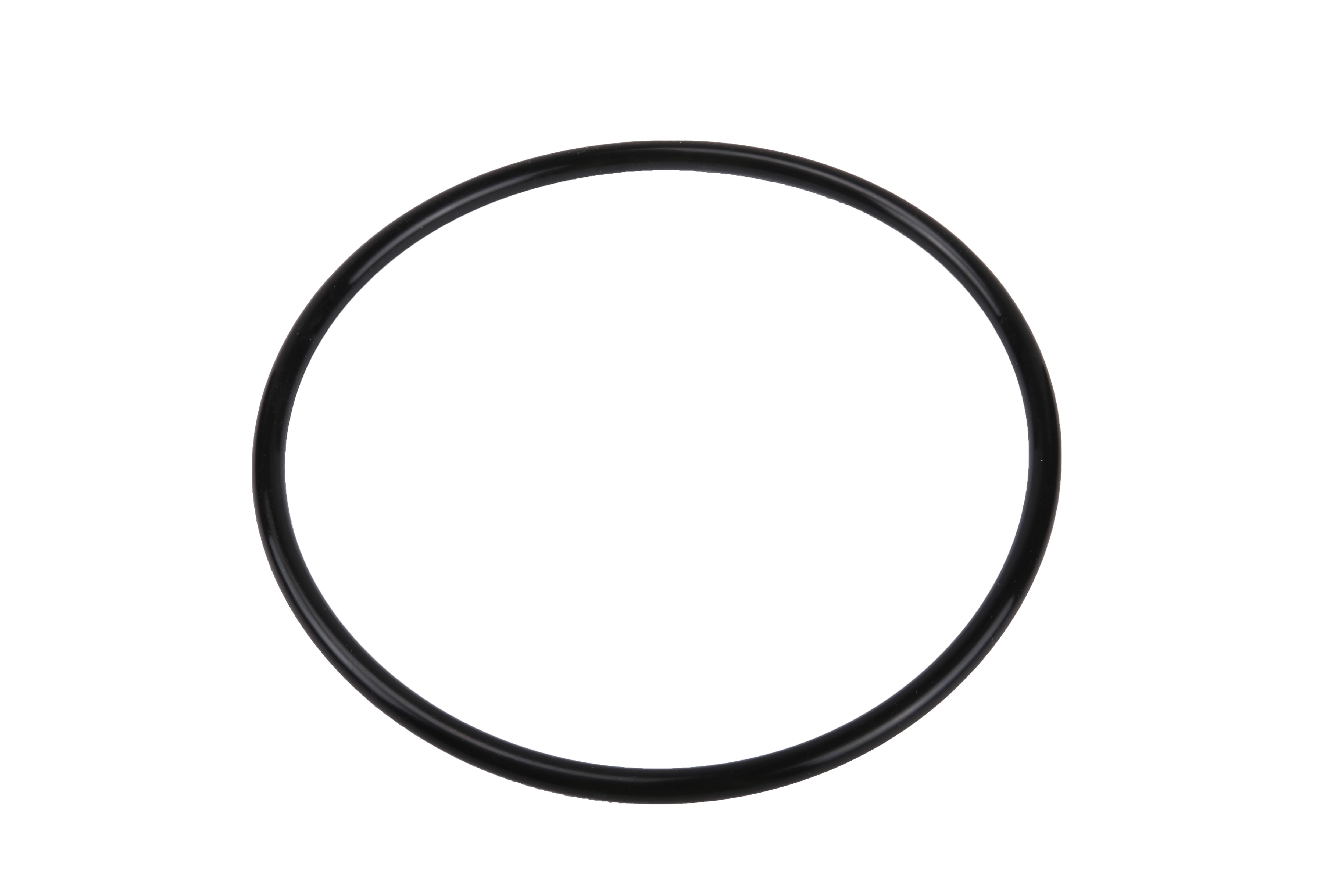 GM Genuine Parts Diesel Emissions Fluid (DEF) Supply Pump Module Seal