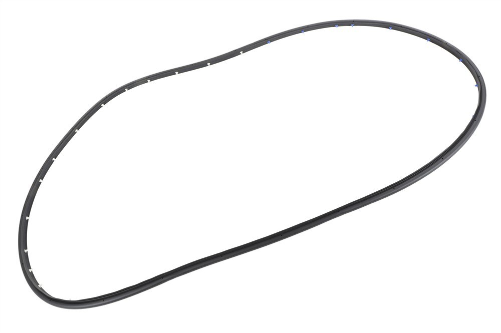 GM Genuine Parts Rear Driver Side Door Side Weatherstrip