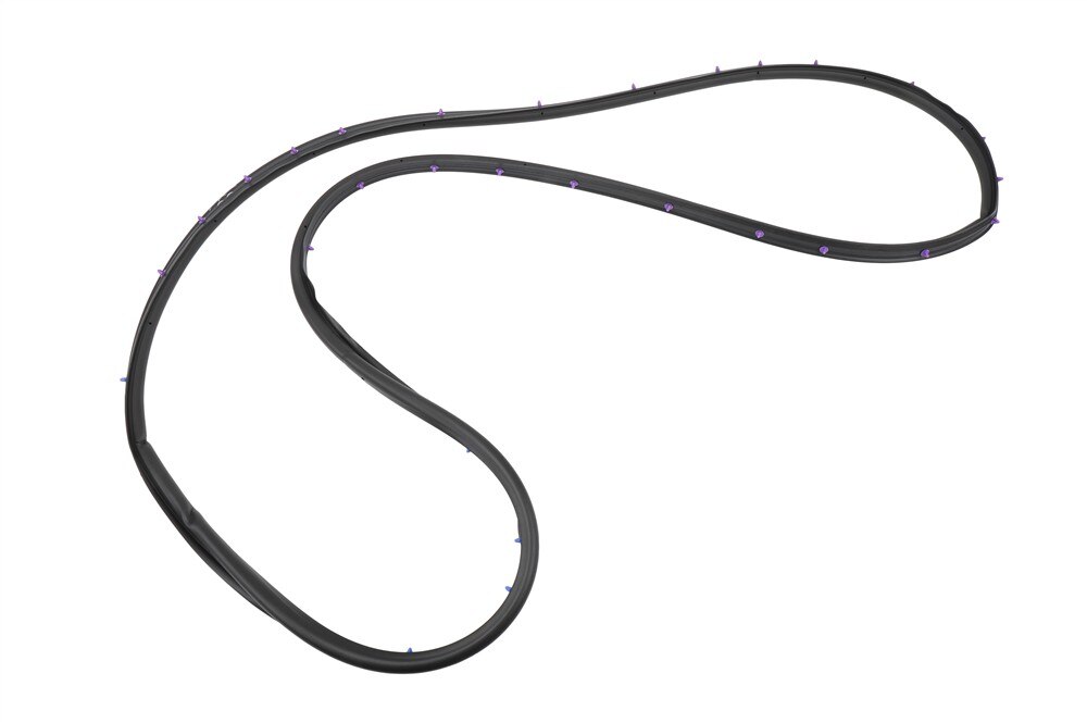 GM Genuine Parts Rear Passenger Side Door Weatherstrip Door Side