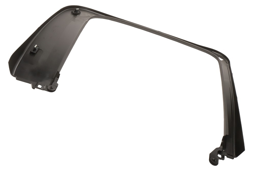 GM Genuine Parts Passenger Side Rear Door Window Garnish Molding