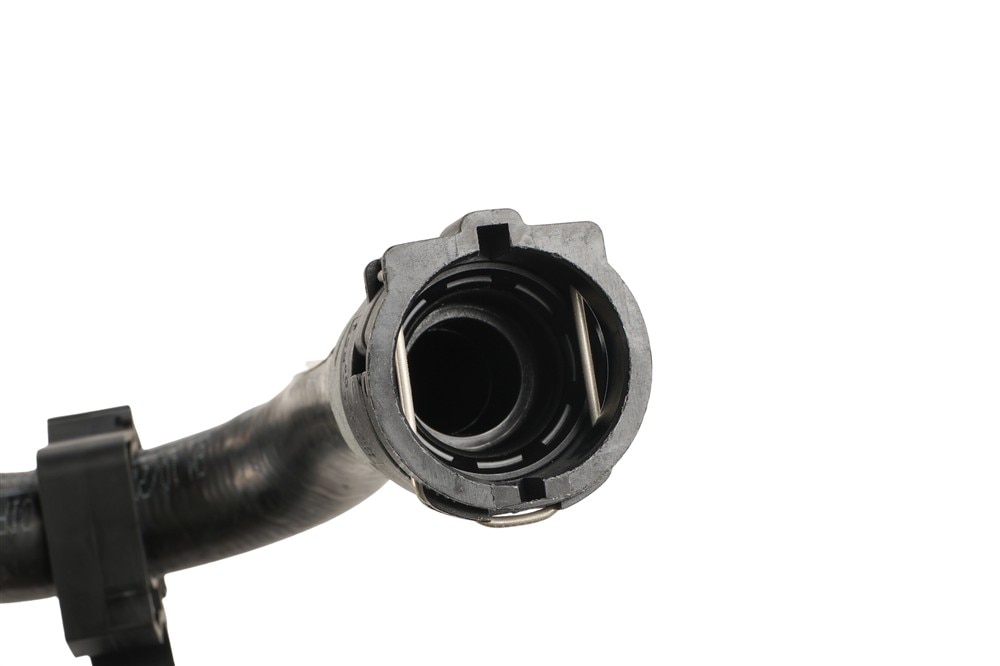 Alternate Image