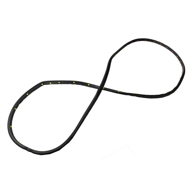 GM Genuine Parts Driver Side Front Door Weatherstrip