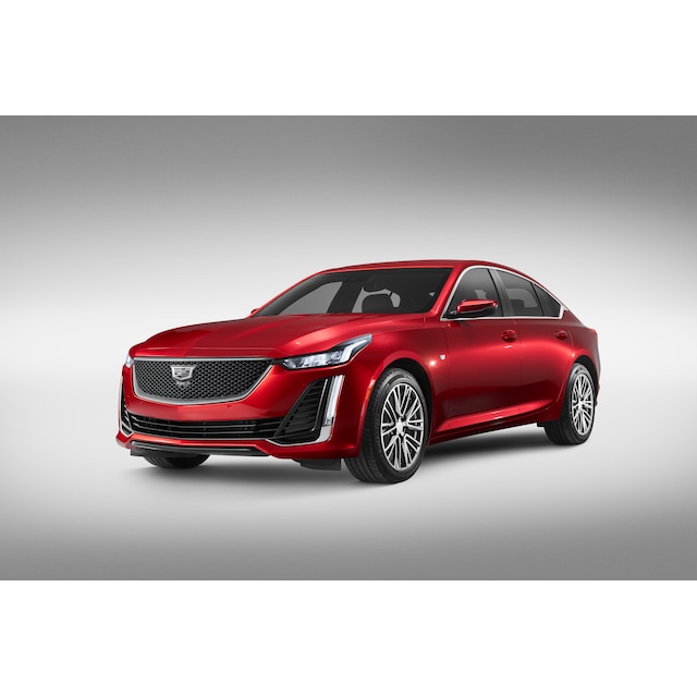 On-Vehicle Image