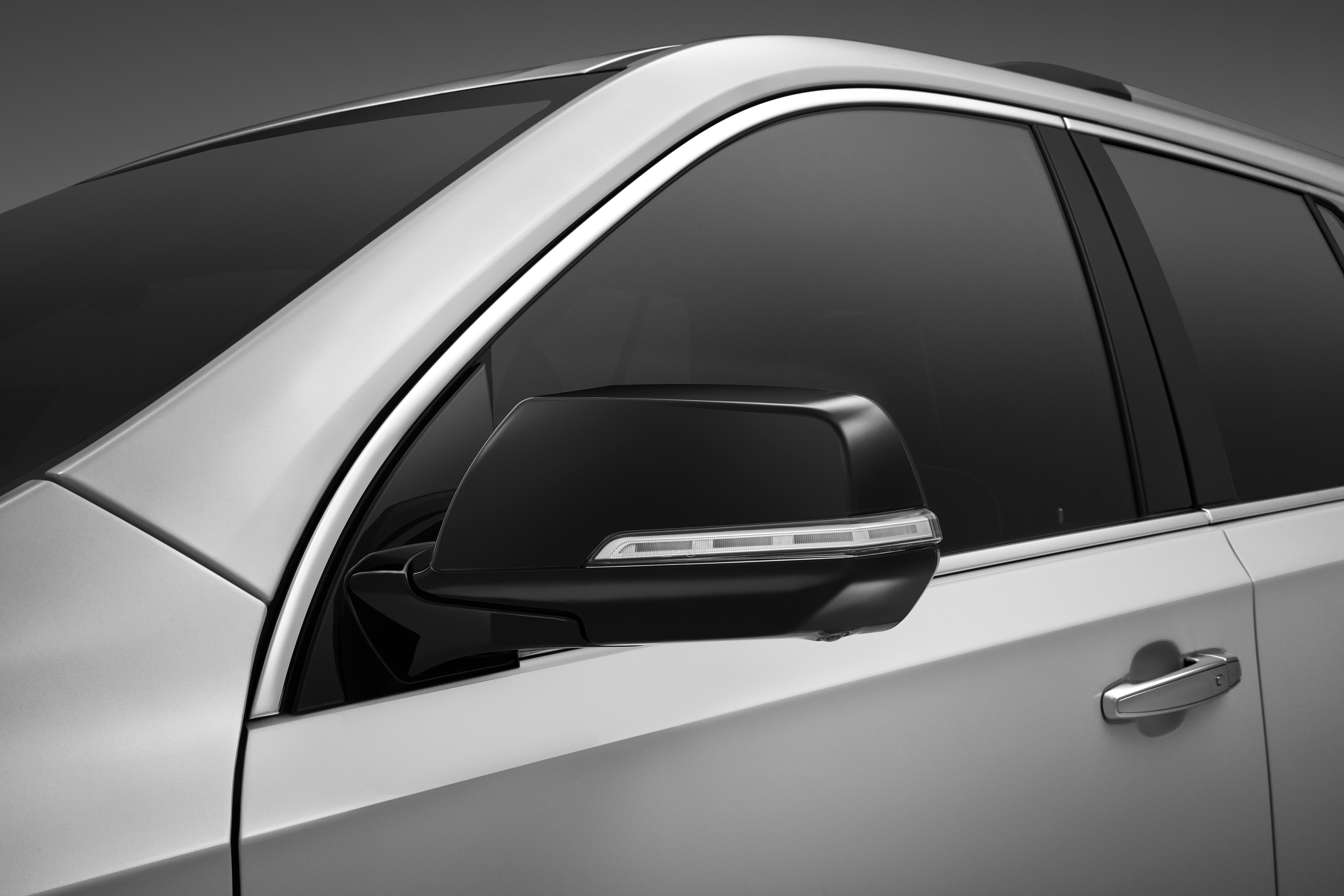 Outside Rearview Mirror Covers in Black