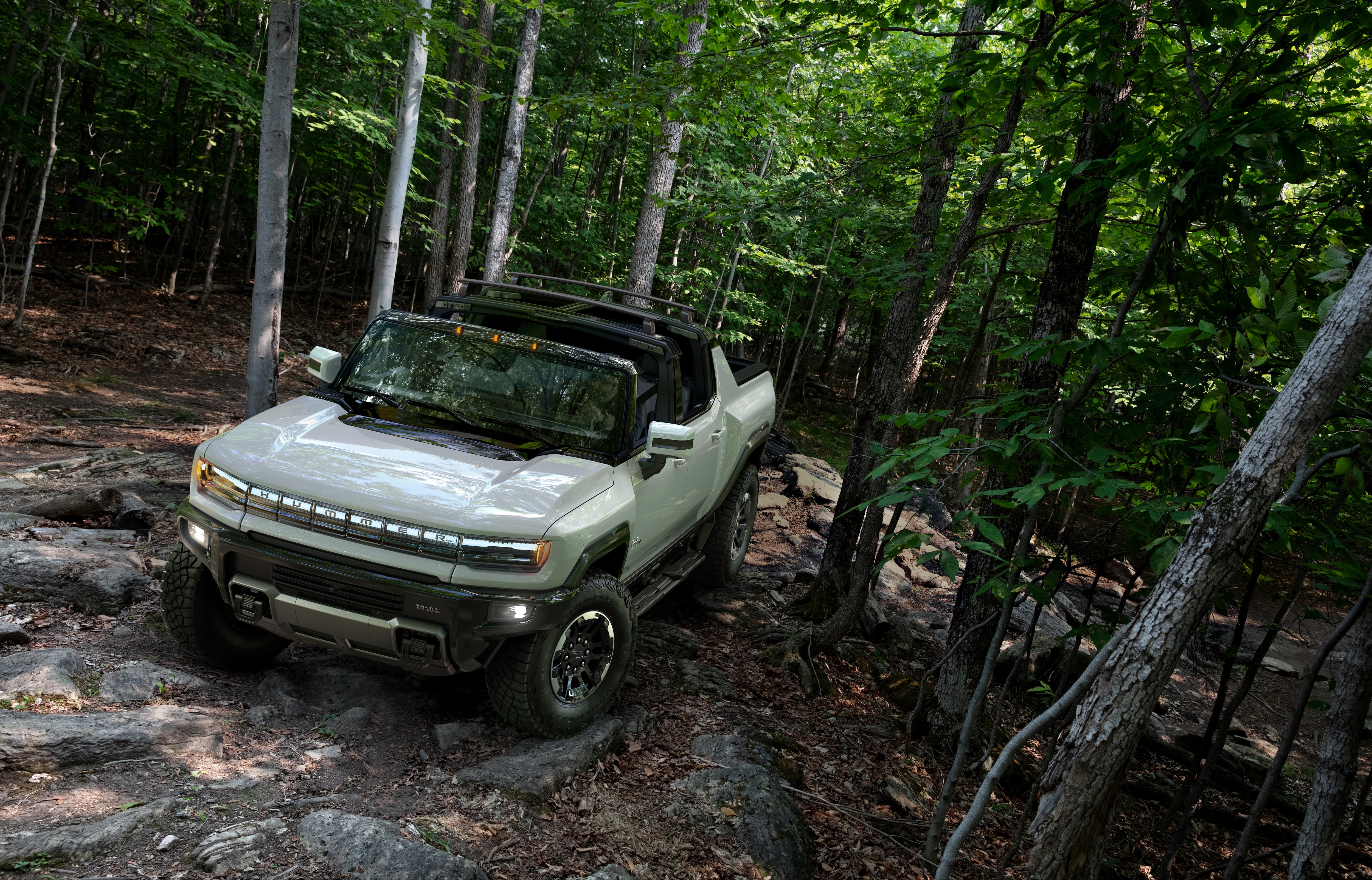 On-Vehicle Image