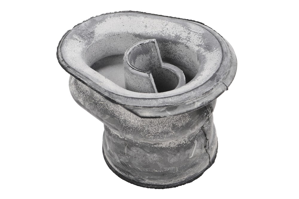 Alternate Image