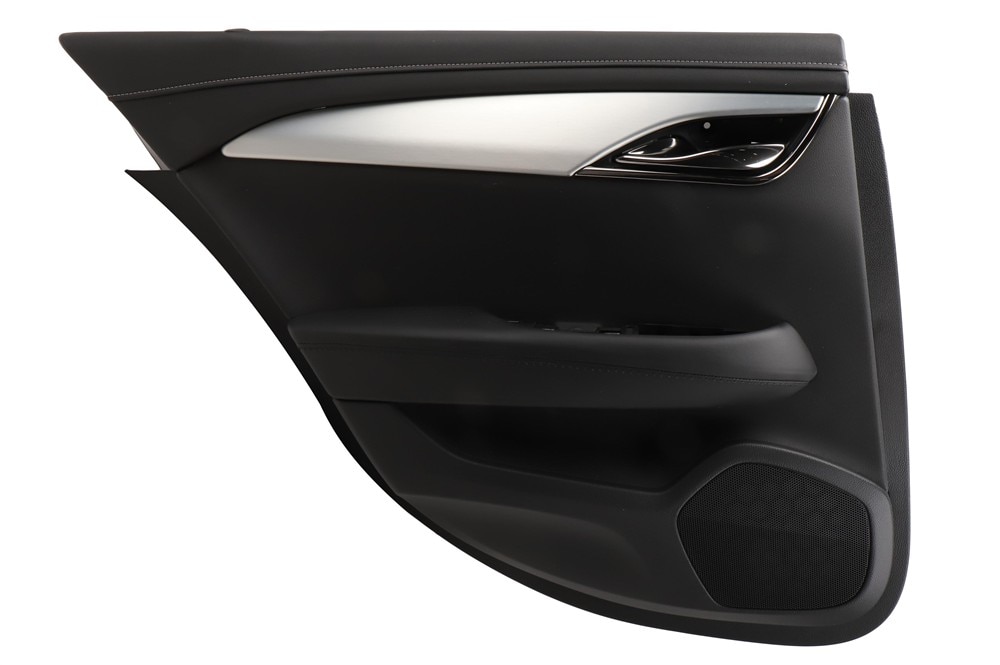GM Genuine Parts Rear Driver Side Door Interior Trim Panel in Black