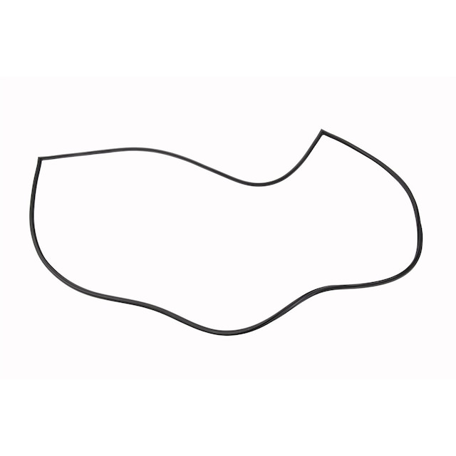 GM Genuine Parts Sunroof Window Front Seal