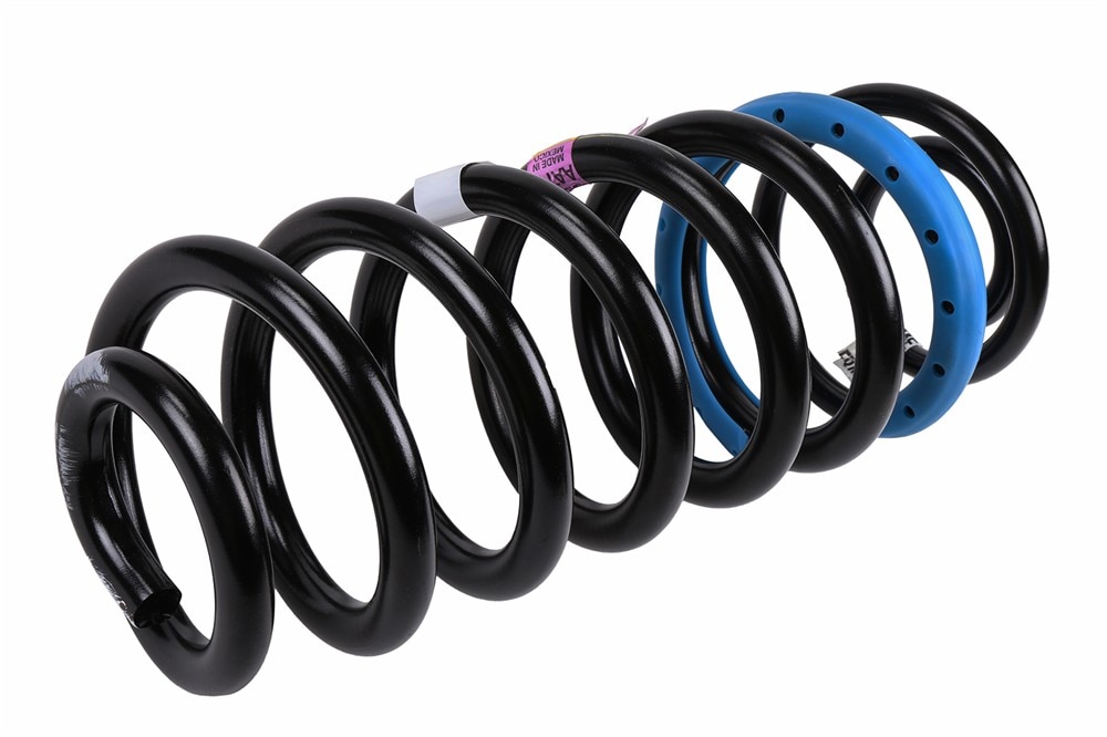 GM Genuine Parts Rear Coil Spring
