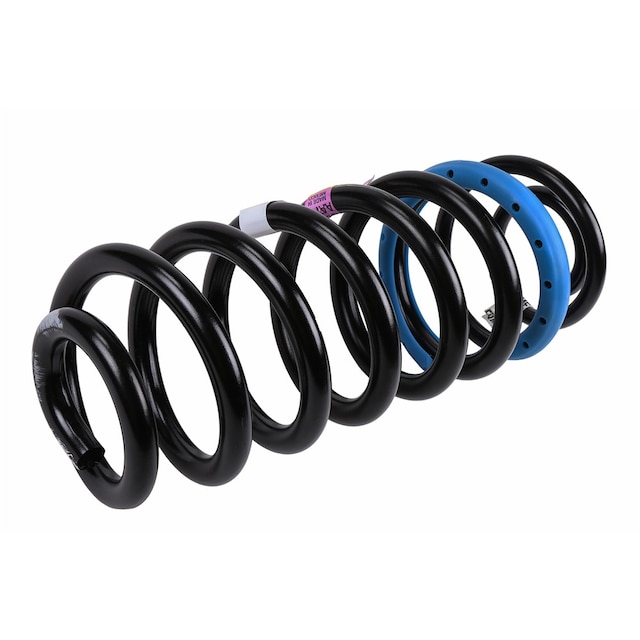 GM Genuine Parts Rear Coil Spring