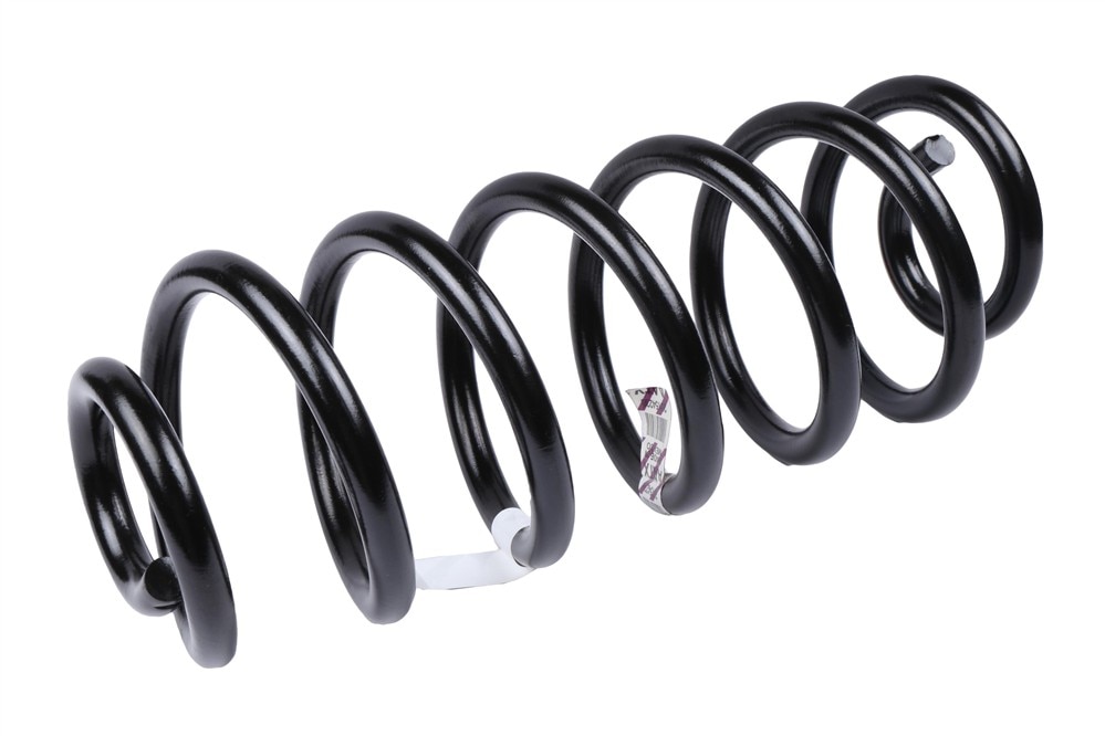 GM Genuine Parts Rear Coil Spring