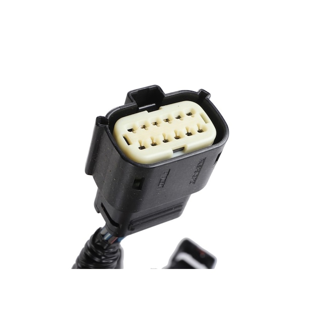 Alternate Image