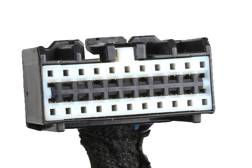 Alternate Image