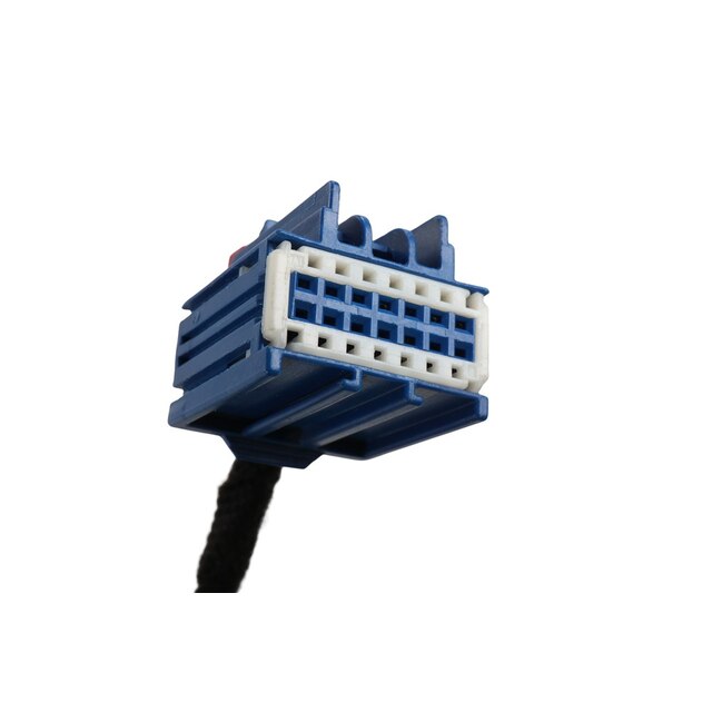 Alternate Image