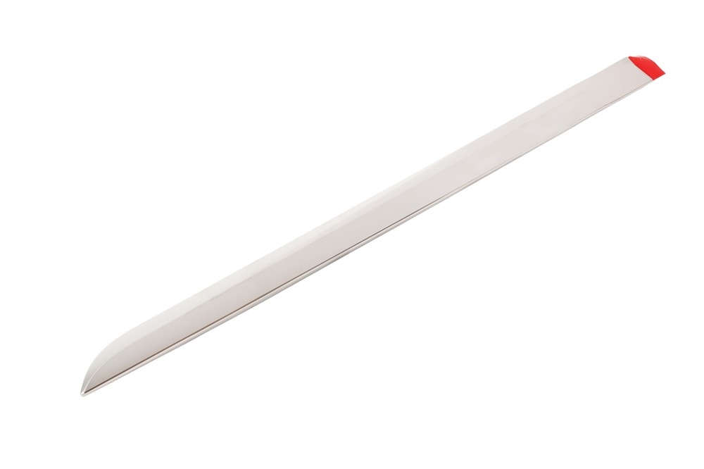 GM Genuine Parts Galvano Silver Rear Driver Side Door Molding