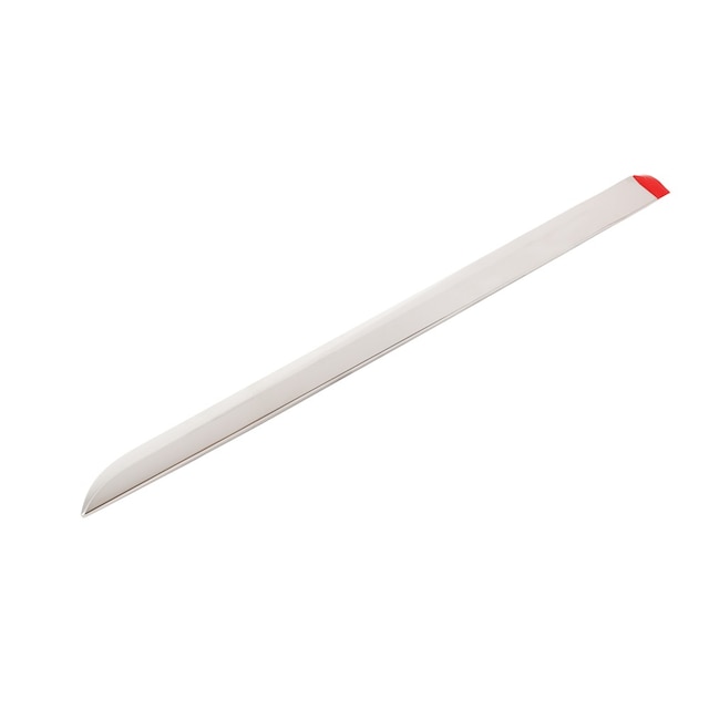 GM Genuine Parts Galvano Silver Rear Driver Side Door Molding
