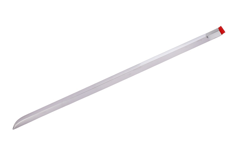 GM Genuine Parts Galvano Silver Rear Driver Side Door Molding