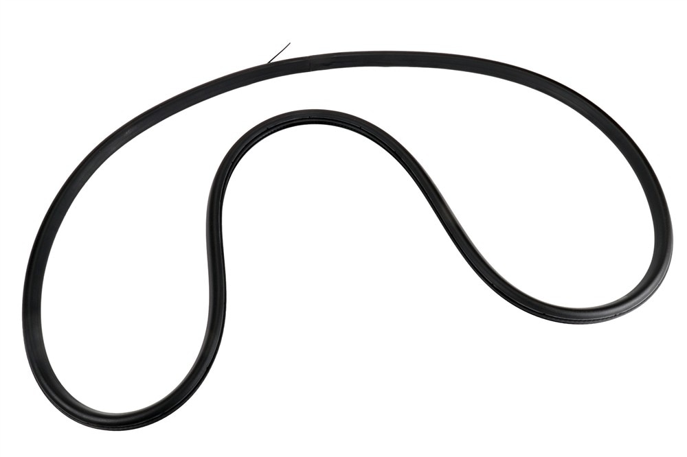 GM Genuine Parts Driver Side Rear Door Weatherstrip