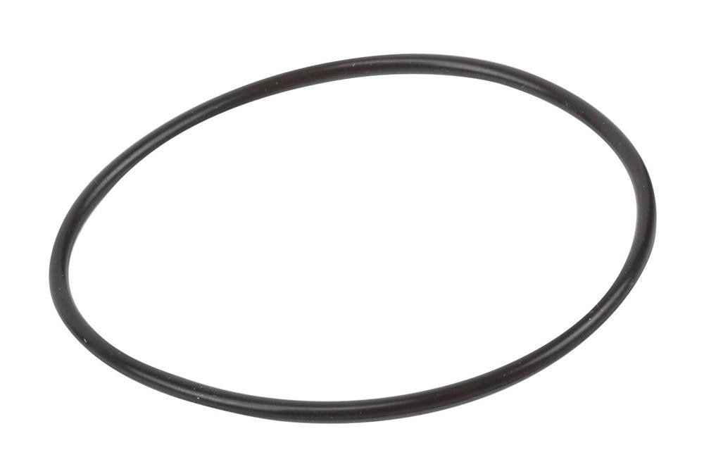 GM Genuine Parts Transfer Case Interface Seal | 23277808