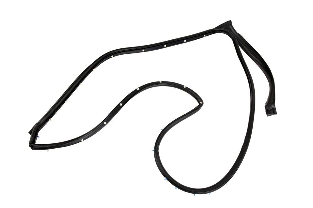 GM Genuine Parts Driver Side Rear Door Weatherstrip