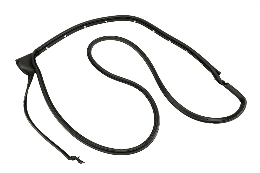 GM Genuine Parts Passenger Side Rear Door Weatherstrip
