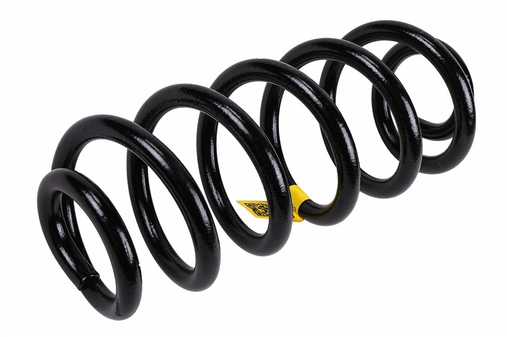 GM Genuine Parts Rear Coil Spring