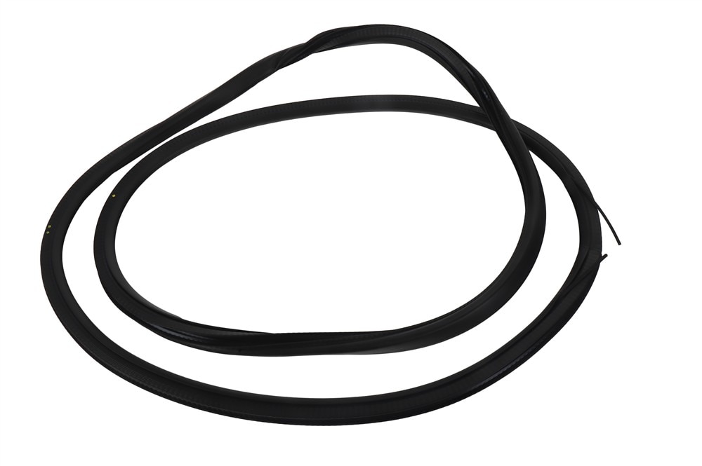 GM Genuine Parts Rear Side Door Weatherstrip