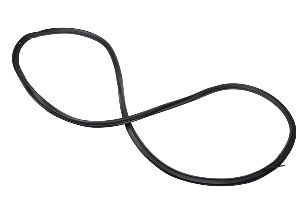 GM Genuine Parts Front Side Door Weatherstrip