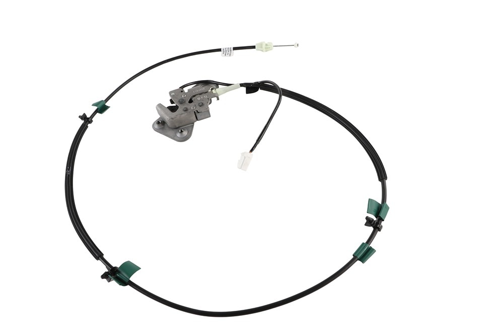 GM Genuine Parts Rear Driver Side Door Lower Latch