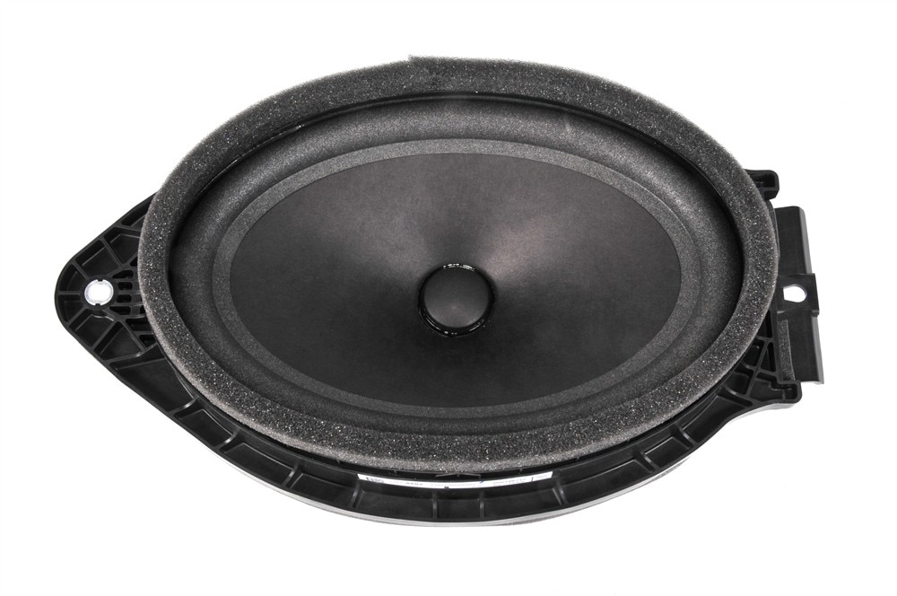 GM Genuine Parts Rear Radio Speaker