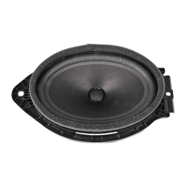 GM Genuine Parts Rear Radio Speaker