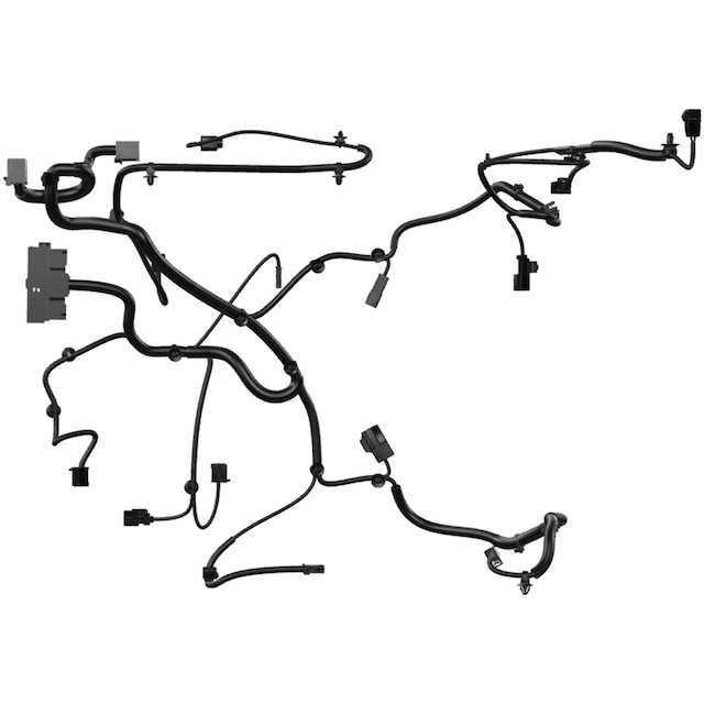 Alternate Image